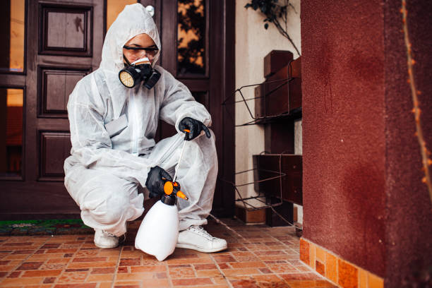 Attic and Crawl Space Rodent Treatment in Blue Earth