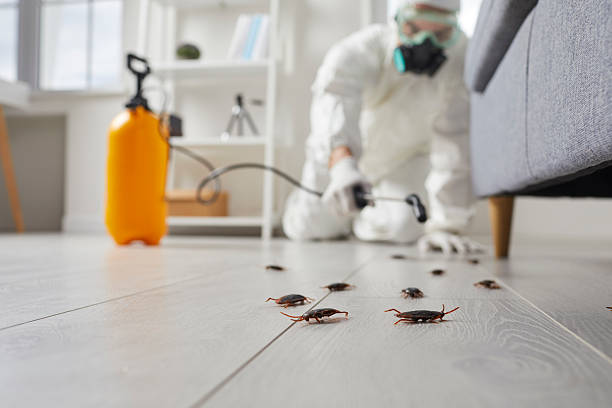 Commercial Rodent Management in Blue Earth